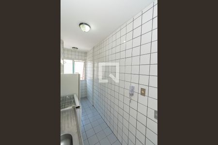 Cozinha e Área de Serviço de apartamento para alugar com 1 quarto, 36m² em Botafogo, Campinas