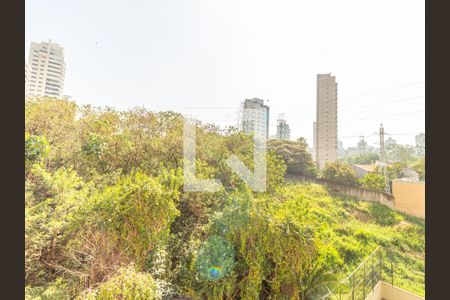 Varanda da Sala - Vista de apartamento para alugar com 2 quartos, 60m² em Parque da Mooca, São Paulo