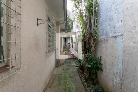 Casa à venda com 180m², 4 quartos e 1 vaga Casa à venda com 180m², 4 quartos e 1 vagaQuintal