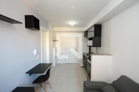 Sala/Cozinha de apartamento para alugar com 1 quarto, 28m² em Jardim Cidalia, São Paulo