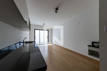 Sala/Cozinha de apartamento para alugar com 1 quarto, 31m² em Quinta da Paineira, São Paulo