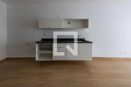 Sala/Cozinha de apartamento para alugar com 1 quarto, 31m² em Quinta da Paineira, São Paulo