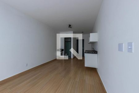 Sala/Cozinha de apartamento para alugar com 1 quarto, 31m² em Quinta da Paineira, São Paulo