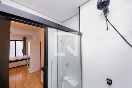 Banheiro de apartamento para alugar com 1 quarto, 30m² em Quinta da Paineira, São Paulo