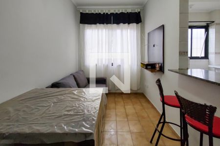 Sala de apartamento para alugar com 1 quarto, 37m² em Cidade Ocian, Praia Grande