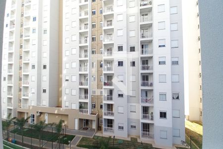 Vista do Quarto 1  de apartamento para alugar com 2 quartos, 50m² em Residencial Parque da Fazenda, Campinas