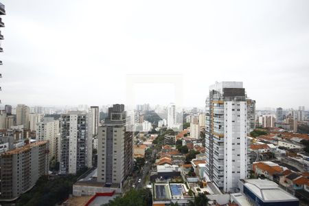 Vista de kitnet/studio para alugar com 1 quarto, 25m² em Vila Mariana, São Paulo