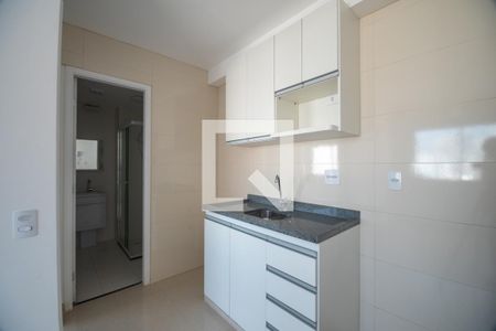 Cozinha de apartamento para alugar com 1 quarto, 25m² em Barra Funda, São Paulo