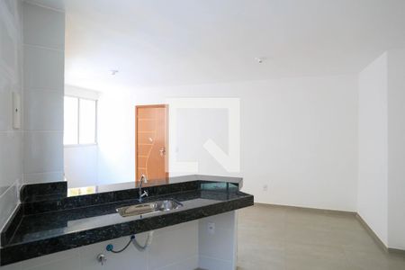 Sala/Cozinha de apartamento à venda com 2 quartos, 47m² em Santo Antônio, Belo Horizonte