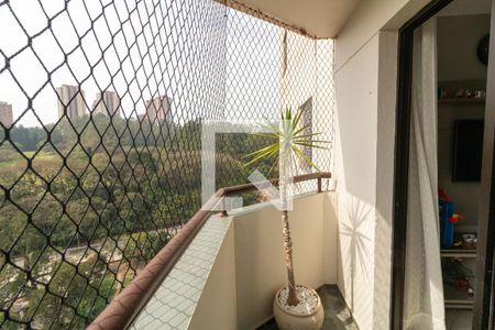Apartamento à venda com 3 quartos, 68m² em Jardim Ampliação, São Paulo