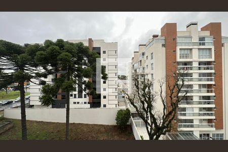 Vista do Quarto 1 de apartamento para alugar com 2 quartos, 64m² em Cristo Rei, Curitiba