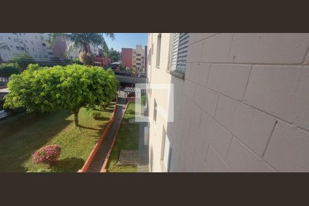 Vista Sala de apartamento à venda com 2 quartos, 55m² em Jardim Alvorada, Santo André