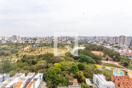 vista da Varanda da Sala de apartamento à venda com 2 quartos, 67m² em Vila Eldízia, Santo André