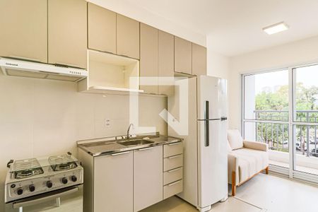 Cozinha de apartamento para alugar com 1 quarto, 26m² em Vila Butantã, São Paulo