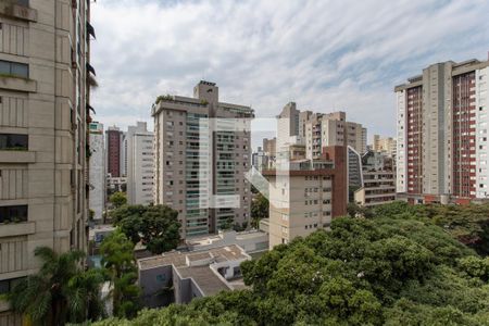 Vista da Sala de apartamento à venda com 4 quartos, 240m² em Lourdes, Belo Horizonte