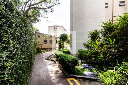 Área comum de apartamento à venda com 2 quartos, 55m² em Jardim Esmeralda, São Paulo