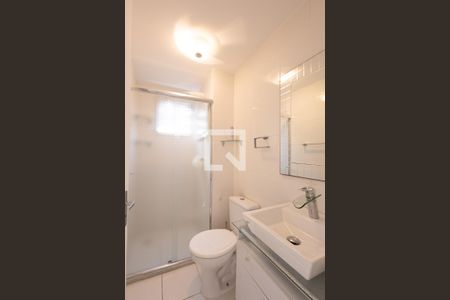 Banheiro Social de apartamento para alugar com 2 quartos, 53m² em Vila Moreira, São Paulo