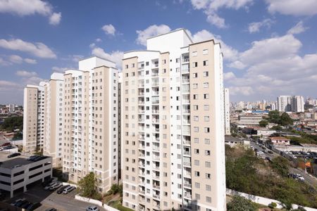 Vista Varanda de apartamento para alugar com 2 quartos, 53m² em Vila Moreira, São Paulo
