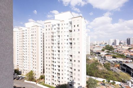 Vista Quarto 1 de apartamento para alugar com 2 quartos, 53m² em Vila Moreira, São Paulo