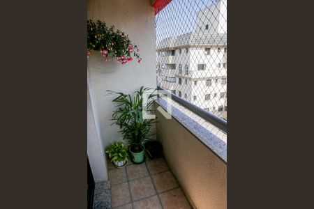 Varanda de apartamento à venda com 3 quartos, 76m² em Vila Gilda, Santo André