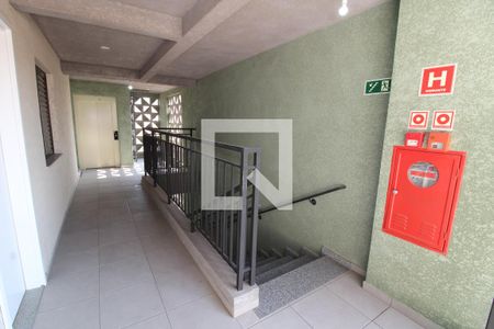 Corredor de apartamento para alugar com 2 quartos, 42m² em Vila Formosa, São Paulo