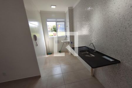 Cozinha - Lavanderia de apartamento para alugar com 2 quartos, 45m² em Santa Marta, Ribeirão Preto