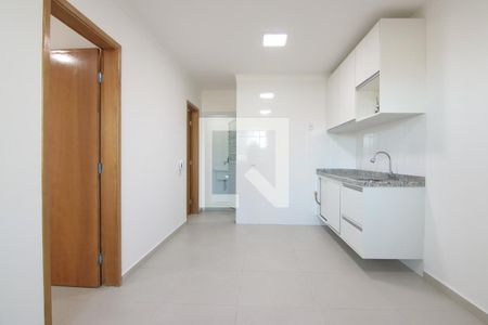 Cozinha de apartamento para alugar com 2 quartos, 40m² em Parque Artur Alvim, São Paulo