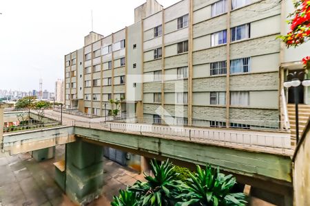 Vista da Sala de apartamento para alugar com 2 quartos, 60m² em Vila Siqueira (zona Norte), São Paulo