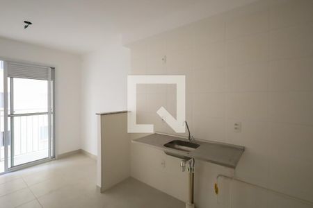 Cozinha de apartamento para alugar com 2 quartos, 35m² em Barra Funda, São Paulo