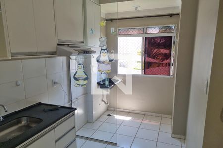 Cozinha  de apartamento para alugar com 2 quartos, 50m² em Jardim Florestan Fernandes, Ribeirão Preto