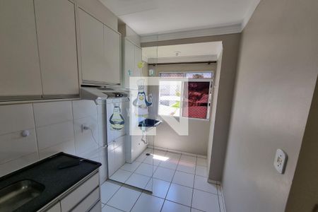 Cozinha  de apartamento para alugar com 2 quartos, 50m² em Jardim Florestan Fernandes, Ribeirão Preto