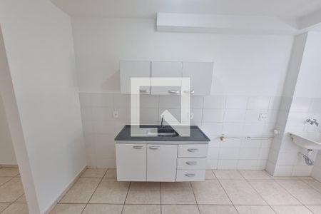 Cozinha de apartamento para alugar com 2 quartos, 50m² em Jardim Santa Cecilia - Bonfim Paulista, Ribeirão Preto