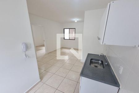 Cozinha de apartamento para alugar com 2 quartos, 50m² em Jardim Santa Cecilia - Bonfim Paulista, Ribeirão Preto