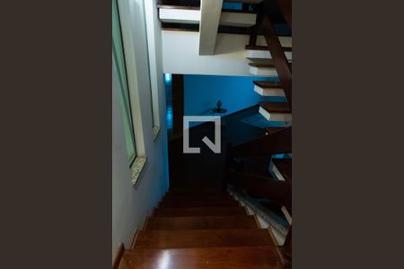 Escada de casa à venda com 4 quartos, 394m² em Vila Floresta, Santo André