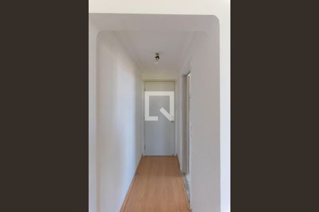 Hall de Entrada de apartamento à venda com 3 quartos, 75m² em Jardim Antonio Von Zuben, Campinas