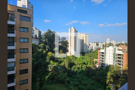 Quarto 1- Vista  de apartamento para alugar com 2 quartos, 48m² em Jardim Ampliação, São Paulo