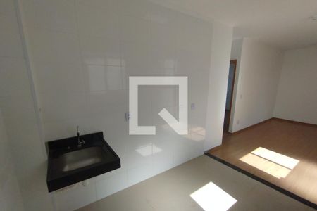 Cozinha - Lavanderia de apartamento para alugar com 2 quartos, 50m² em Recreio das Acacias, Ribeirão Preto