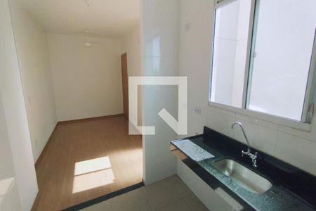 Cozinha - Lavanderia de apartamento para alugar com 2 quartos, 50m² em Recreio das Acacias, Ribeirão Preto