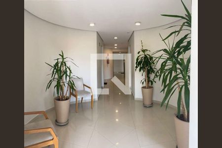 Apartamento à venda com 2 quartos, 52m² em Casa Branca, Santo André