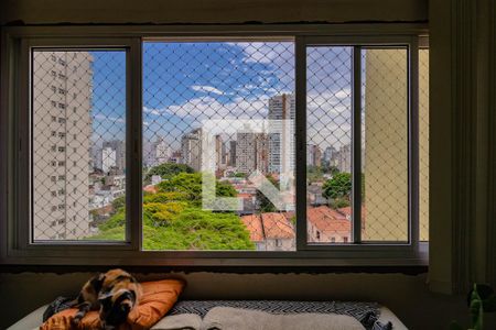 Vista de apartamento à venda com 2 quartos, 74m² em Mirandópolis, São Paulo