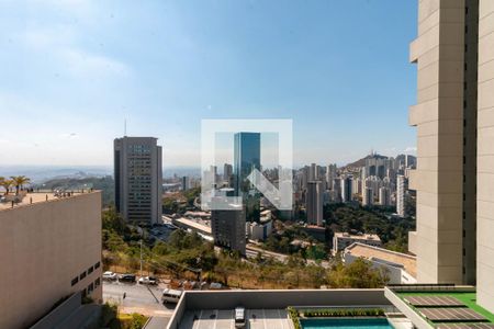 Vista Varanda da Sala de apartamento para alugar com 2 quartos, 76m² em Vila da Serra, Nova Lima