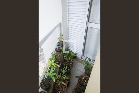 Apartamento à venda com 120m², 3 quartos e 3 vagas Apartamento à venda com 120m², 3 quartos e 3 vagasVaranda da Suite 1