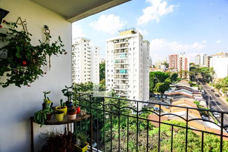 Varanda de apartamento à venda com 3 quartos, 80m² em Vila Progredior, São Paulo