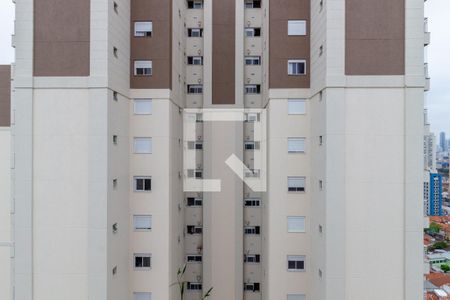 Vista - Varanda de apartamento para alugar com 3 quartos, 253m² em Belenzinho, São Paulo