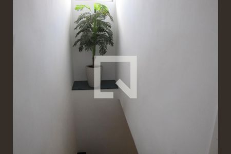 Corredor de casa para alugar com 3 quartos, 230m² em Vila Constança, São Paulo