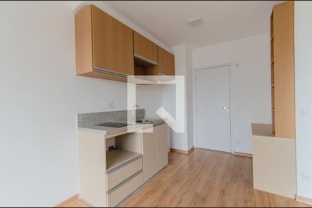 Sala/Cozinha de apartamento para alugar com 1 quarto, 33m² em Ipiranga, São Paulo