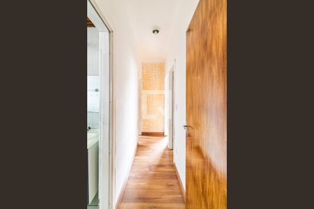 Corredor de apartamento à venda com 3 quartos, 65m² em Santa Amélia, Belo Horizonte