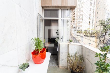 Varanda da Sala de apartamento à venda com 3 quartos, 120m² em Santo Antônio, Belo Horizonte