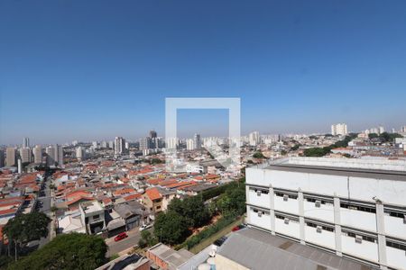 vista/Sala de apartamento para alugar com 1 quarto, 34m² em Chácara Mafalda, São Paulo