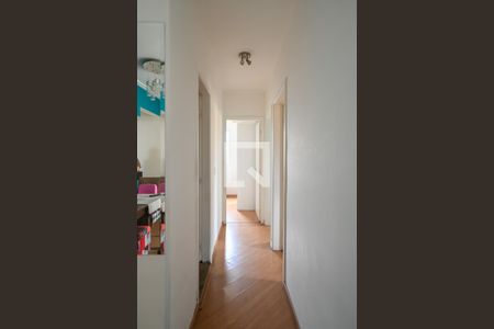 Corredor de apartamento para alugar com 3 quartos, 72m² em Ipiranga, São Paulo